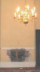 Water damage can cause mold growth